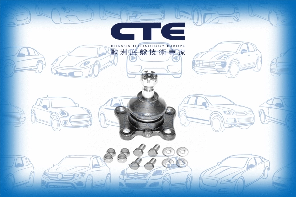 Ball Joint (CBJ02008A)