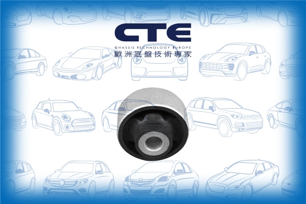 Mounting, control/trailing arm (CBH22022)