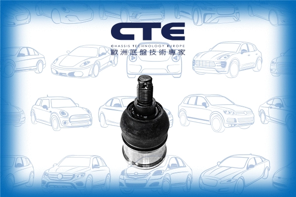 Ball Joint (CBJ01010)