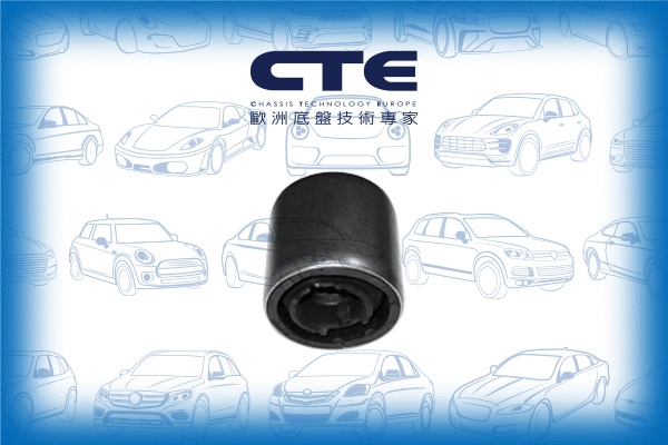 Mounting, control/trailing arm (CBH09033)