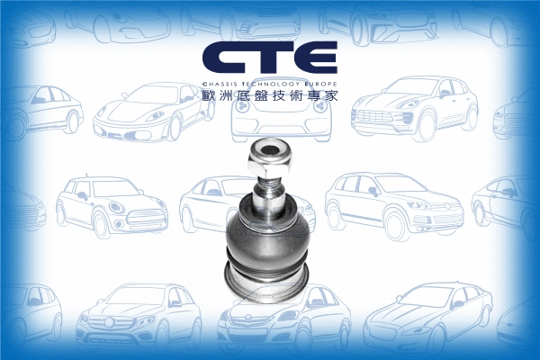Ball Joint (CBJ05005)