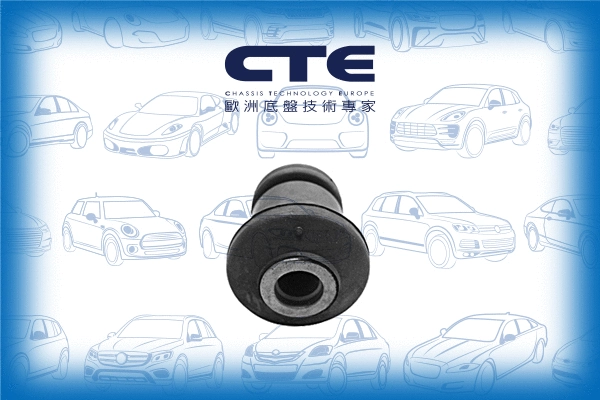 Mounting, control/trailing arm (CBH03063)