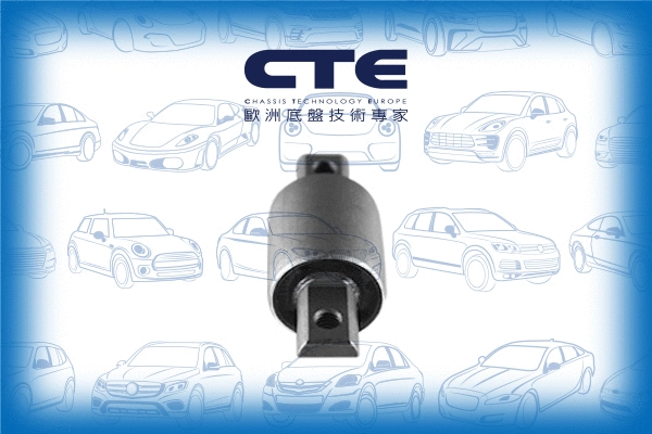 Mounting, control/trailing arm (CBH17037)