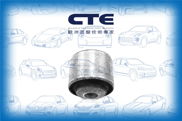 Mounting, control/trailing arm (CBH21027)