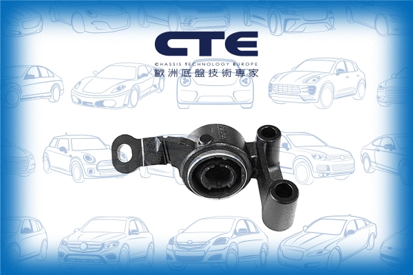 Mounting, control/trailing arm (CBH09021L)