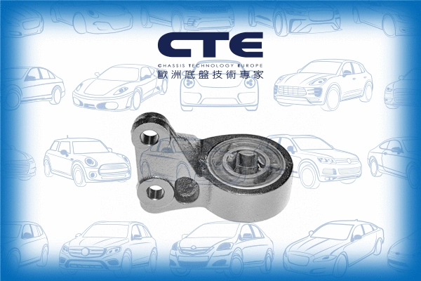 Mounting, control/trailing arm (CBH31003L)