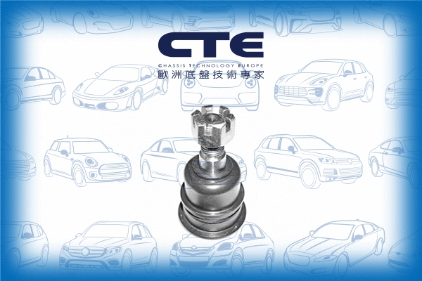 Ball Joint (CBJ06007)