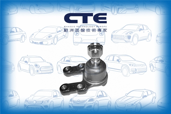 Ball Joint (CBJ06012)