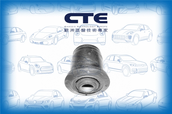 Mounting, control/trailing arm (CBH03013)