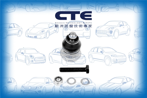 Ball Joint (CBJ06022A)