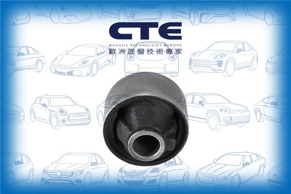 Mounting, control/trailing arm (CBH04011)