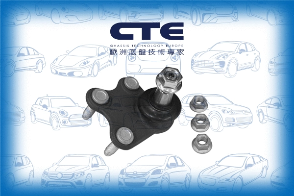 Ball Joint (CBJ19011RA)
