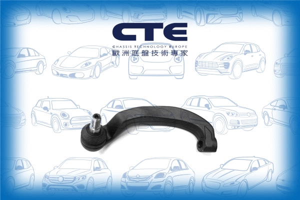 Tie Rod End (CTE21008L)