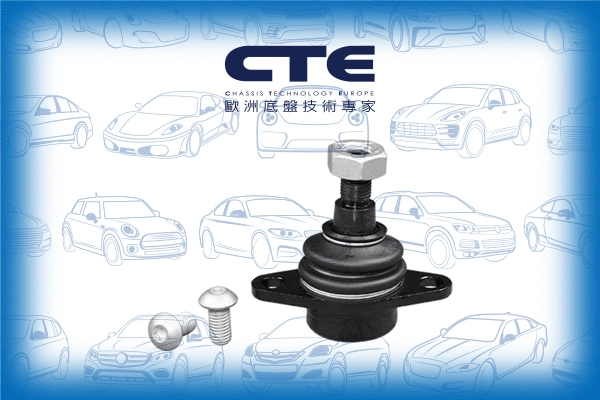 Ball Joint (CBJ09011A)