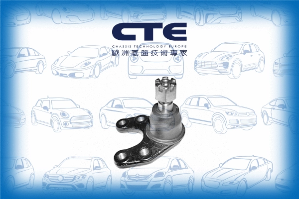 Ball Joint (CBJ03007)