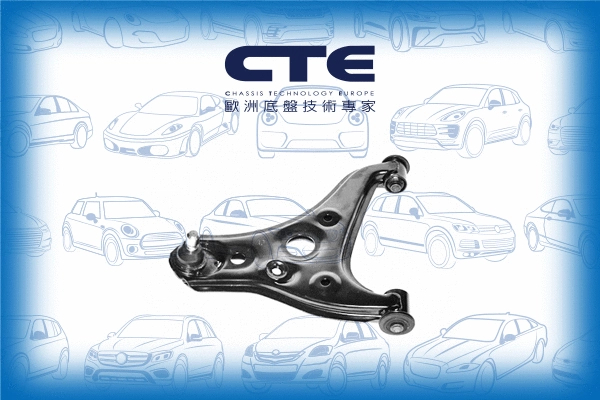 Control/Trailing Arm, wheel suspension (CS-305L)