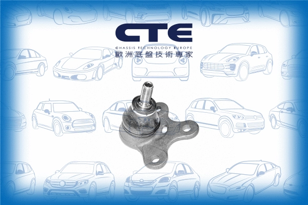Ball Joint (CBJ19007L)