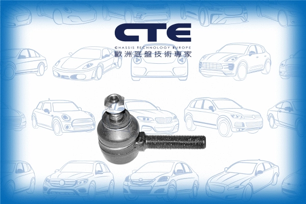Tie Rod End (CTE09003L)