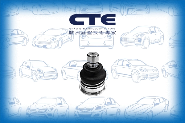 Ball Joint (CBJ07001)