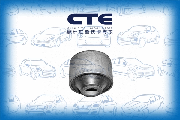 Mounting, control/trailing arm (CBH03019)