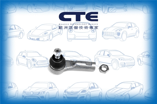 Tie Rod End (CTE17006L)