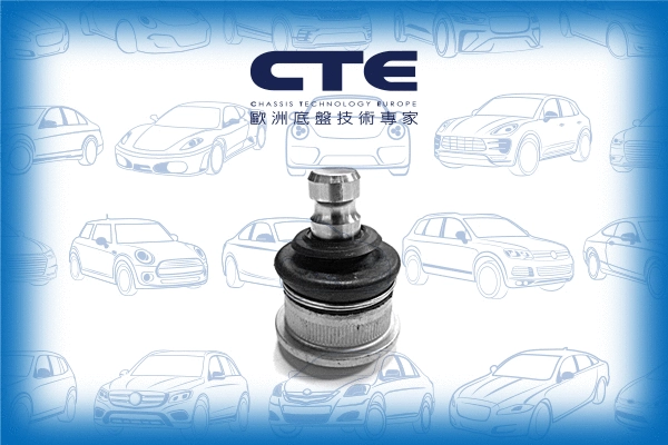Ball Joint (CBJ06022)