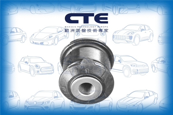 Mounting, control/trailing arm (CBH01049)