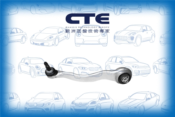 Control/Trailing Arm, wheel suspension (CS-969L)