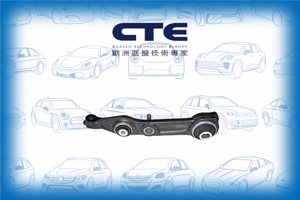 Control/Trailing Arm, wheel suspension (CS-2113L)