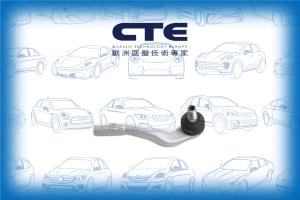 Tie Rod End (CTE21002R)