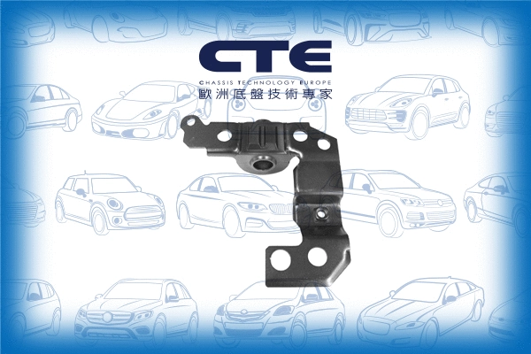 Mounting, control/trailing arm (CBH22017R)