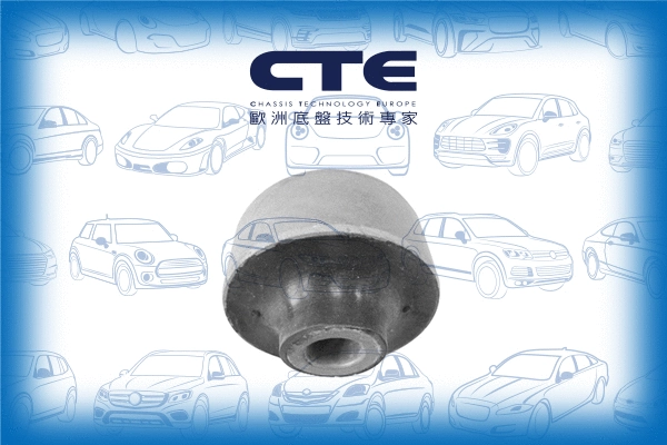Mounting, control/trailing arm (CBH07008)