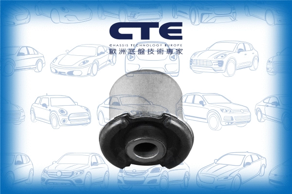 Mounting, control/trailing arm (CBH31019)