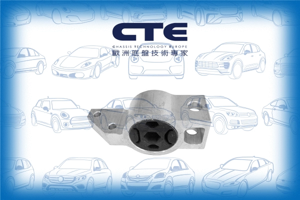 Mounting, control/trailing arm (CBH20016R)