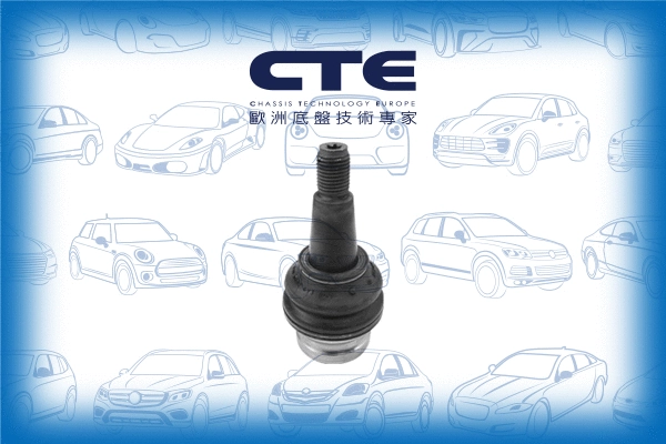 Ball Joint (CBJ19012)