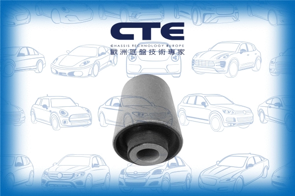 Mounting, control/trailing arm (CBH20013)