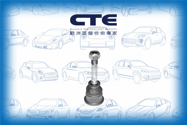 Ball Joint (CBJ09001)