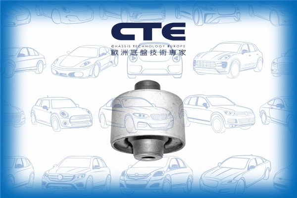Mounting, control/trailing arm (CBH17001)