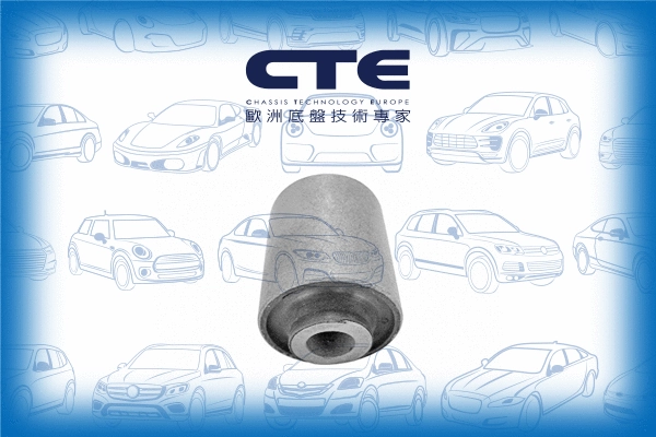 Mounting, control/trailing arm (CBH18002)