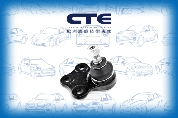Ball Joint (CBJ15004)