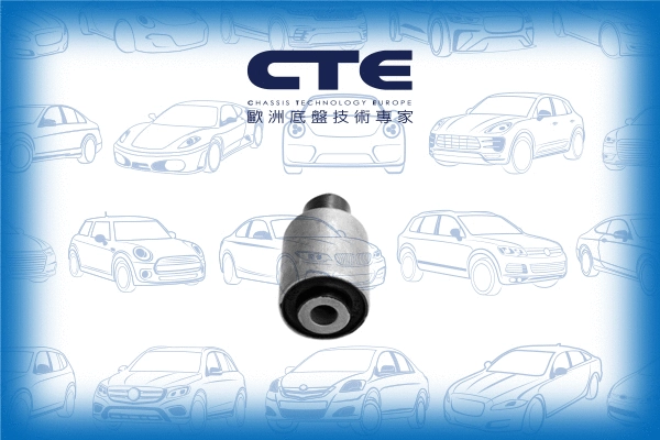 Mounting, control/trailing arm (CBH22014)