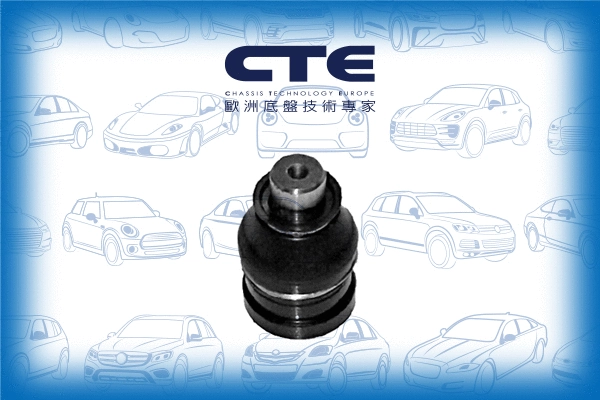 Ball Joint (CBJ05012)