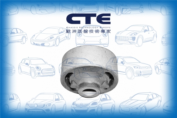 Mounting, control/trailing arm (CBH02024)