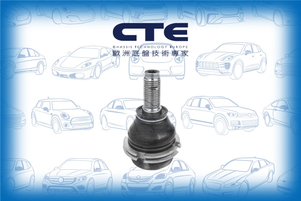 Ball Joint (CBJ16012)
