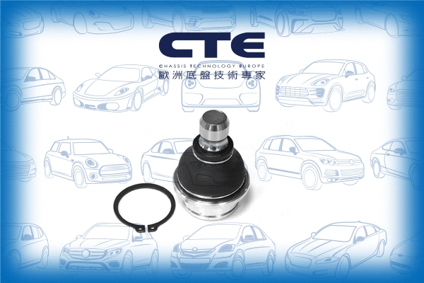 Ball Joint (CBJ06024)