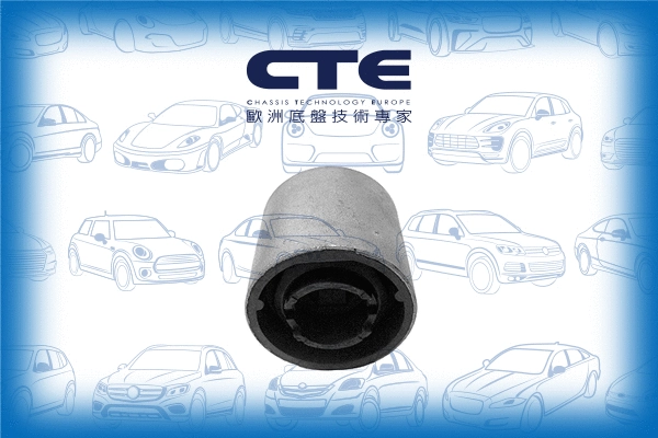 Mounting, control/trailing arm (CBH09020)