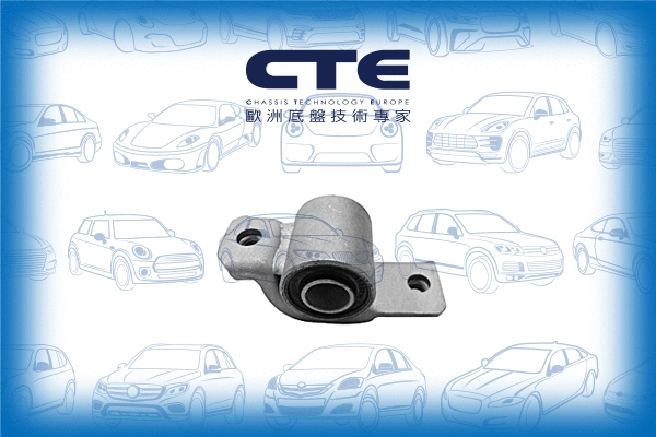 Mounting, control/trailing arm (CBH22013R)