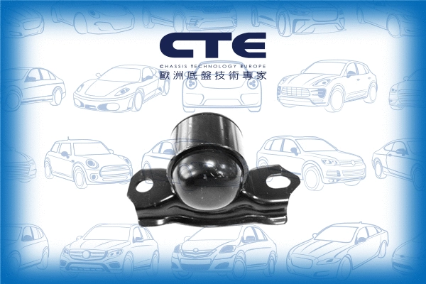 Mounting, control/trailing arm (CBH06046L)
