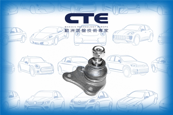 Ball Joint (CBJ19008R)