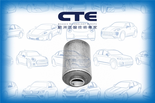 Mounting, control/trailing arm (CBH06007)